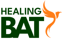 HealingBat daneben ein stilisierter Phönix