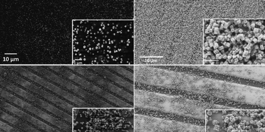 Aufnahme von Nanopartikeln mit einem Rasterelektronenmikroskop.