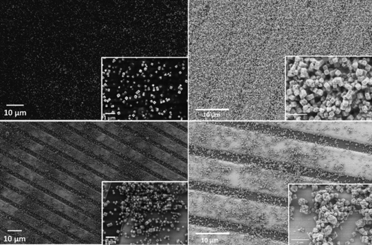 Aufnahme von Nanopartikeln mit einem Rasterelektronenmikroskop.